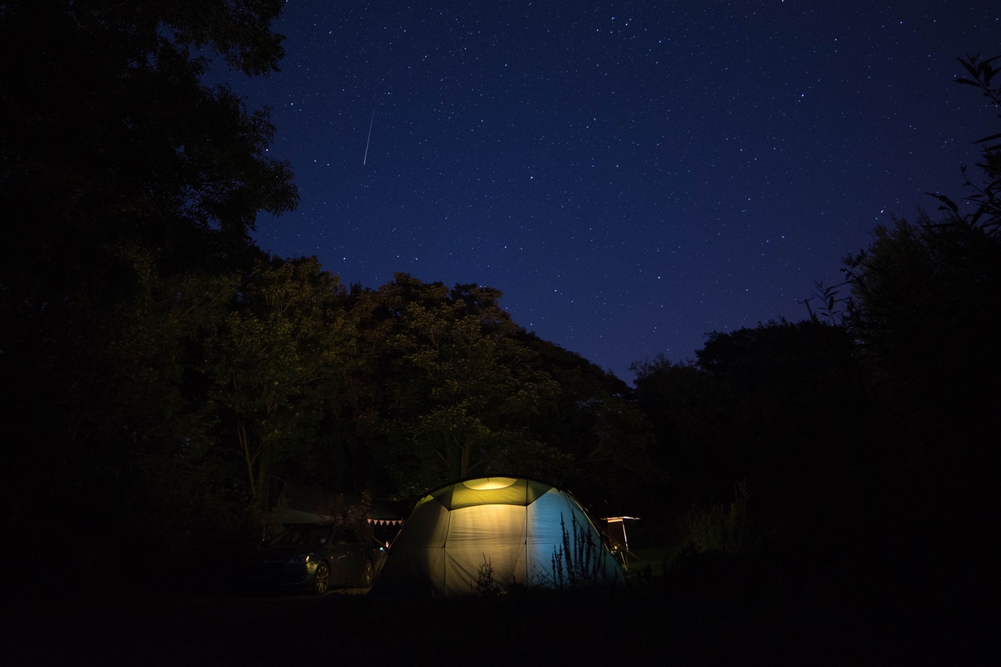 Dark At Night Trellyn Woodland Camping